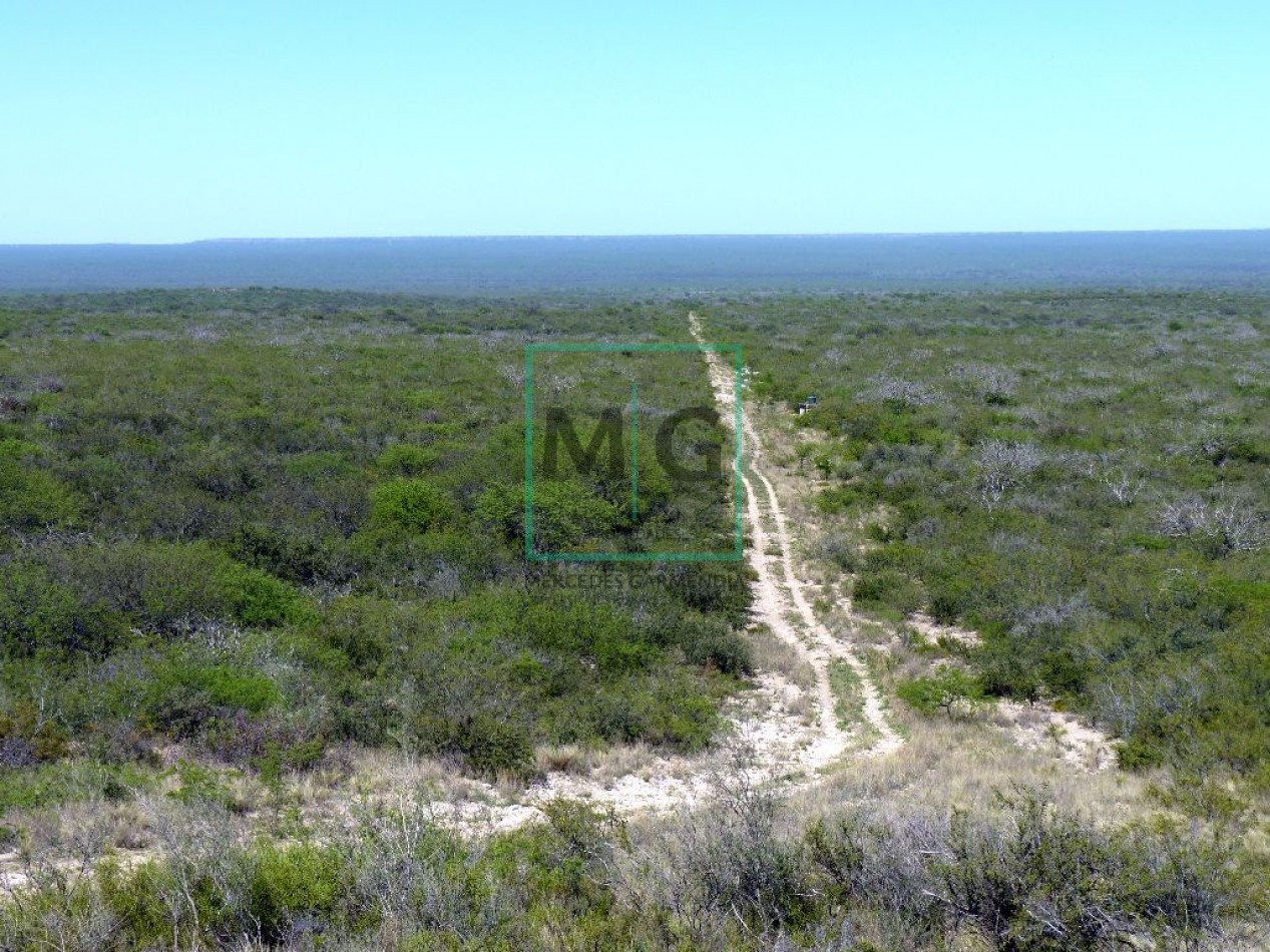 6.200 Has campo de Cria sobre ruta asfalto  HUCAL- LAPAMPA
