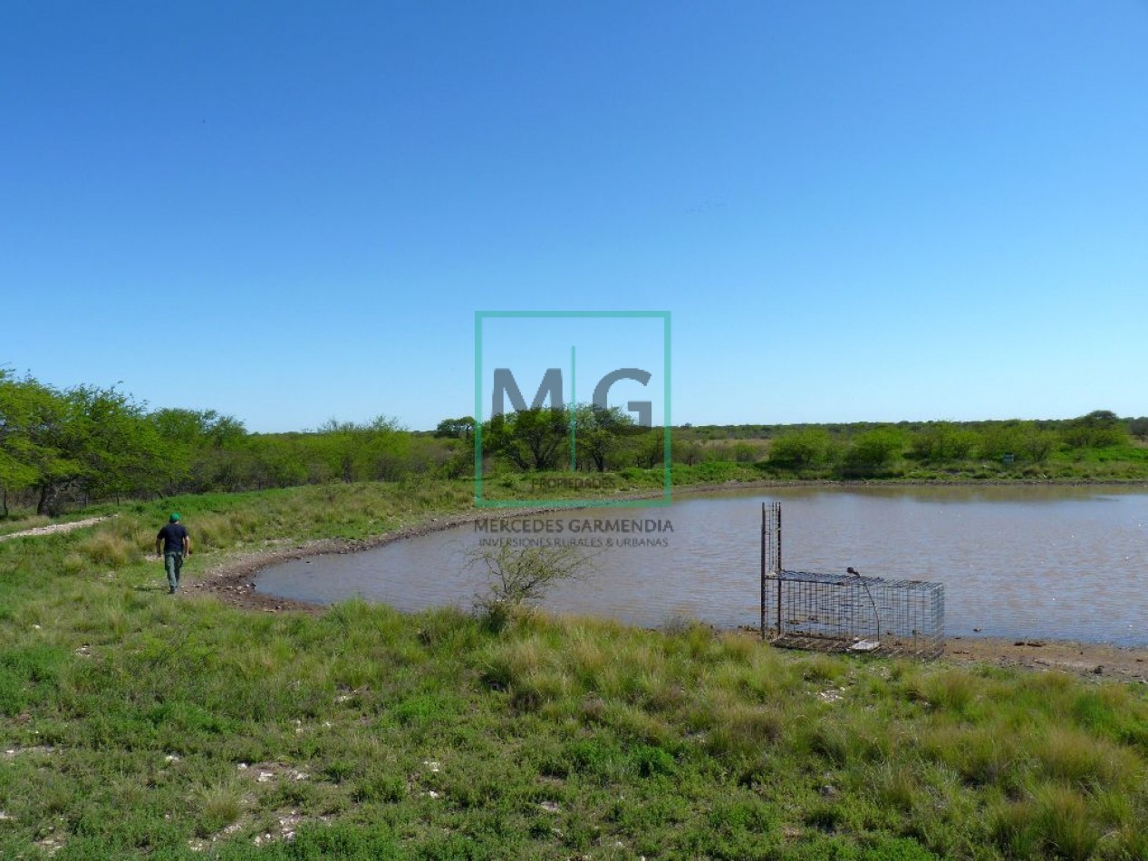 6.200 Has campo de Cria sobre ruta asfalto  HUCAL- LAPAMPA